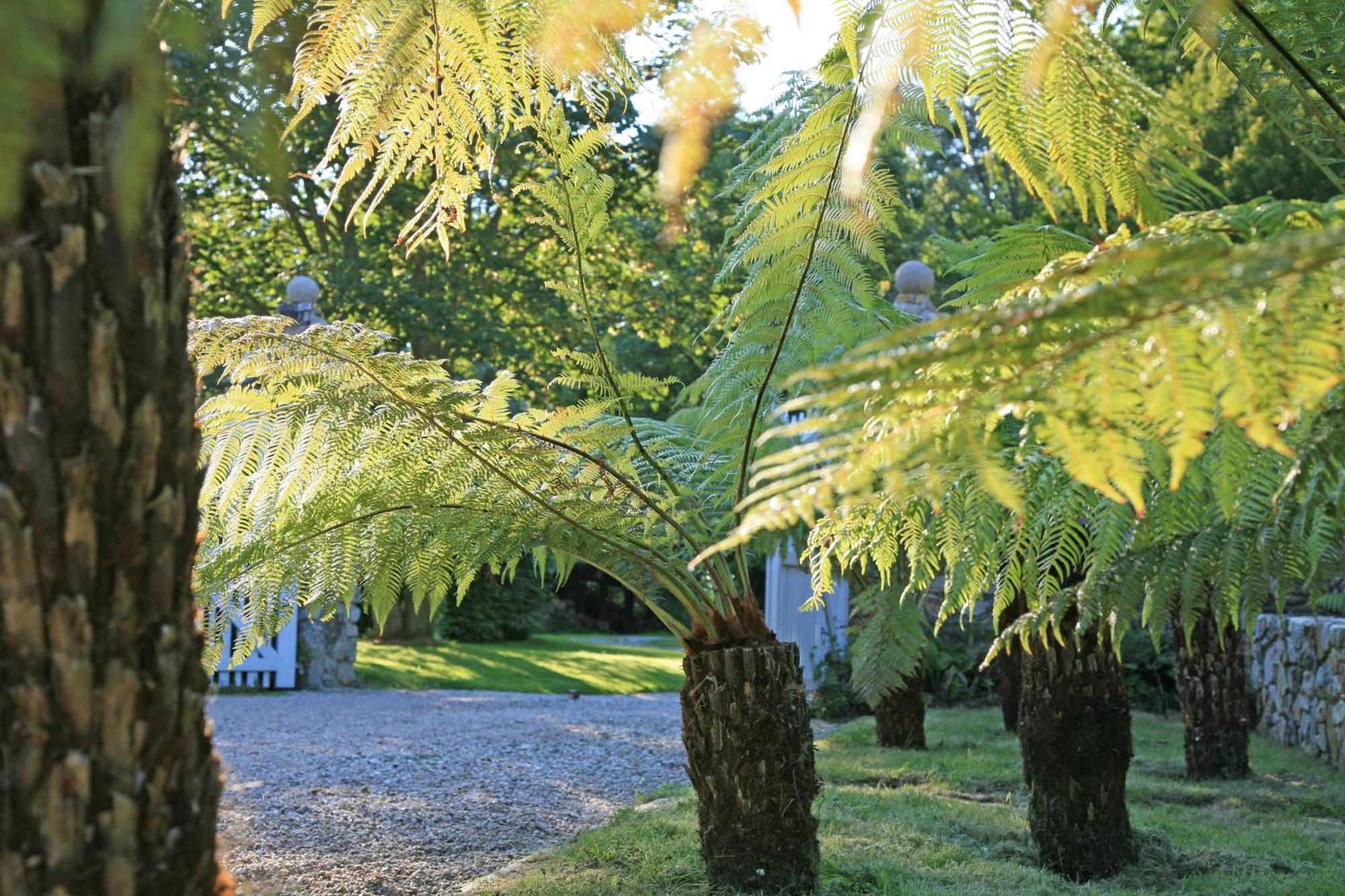 Gîte des Fougères Cherbourg-en-Cotentin Esterno foto